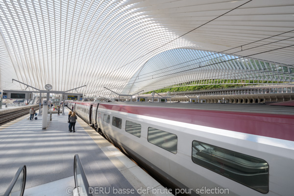 gare de Liège-Guillemins
Liege-Guillemins railway station